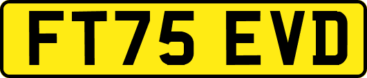 FT75EVD