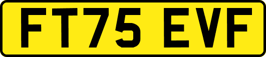 FT75EVF
