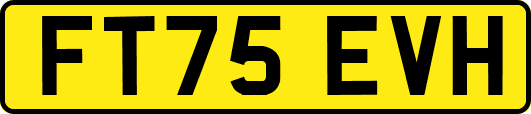 FT75EVH