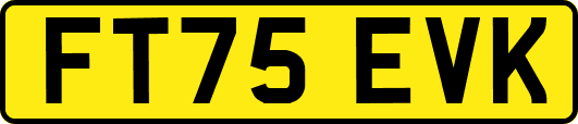 FT75EVK
