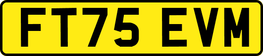 FT75EVM
