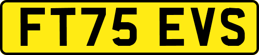 FT75EVS