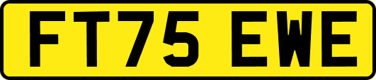 FT75EWE