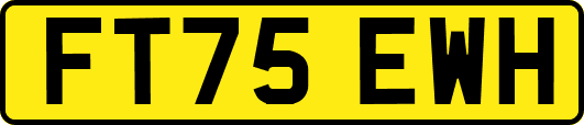 FT75EWH
