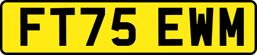 FT75EWM
