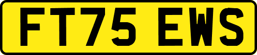 FT75EWS