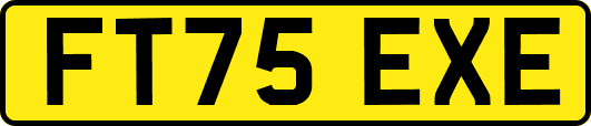 FT75EXE