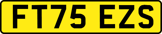 FT75EZS