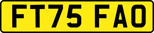 FT75FAO