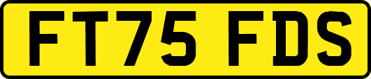 FT75FDS