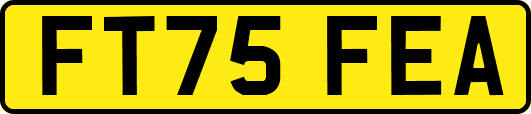 FT75FEA