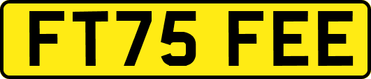 FT75FEE