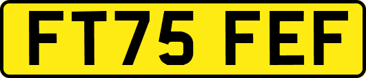 FT75FEF