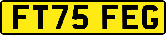 FT75FEG