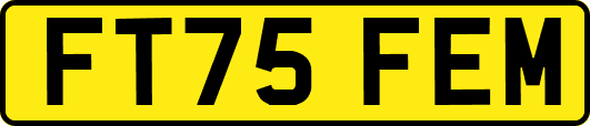 FT75FEM