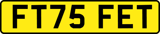 FT75FET