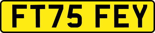 FT75FEY
