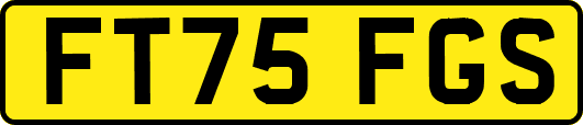 FT75FGS