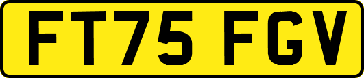 FT75FGV