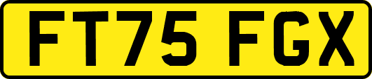 FT75FGX