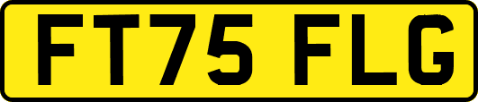 FT75FLG