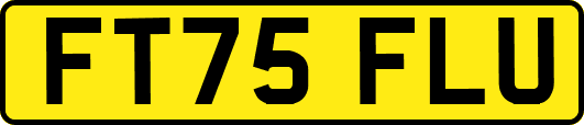 FT75FLU