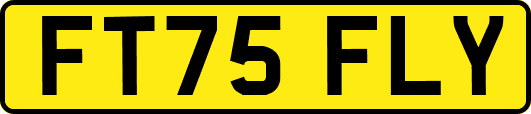 FT75FLY