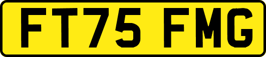 FT75FMG