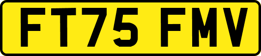 FT75FMV