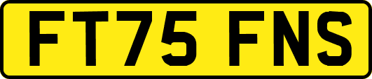FT75FNS