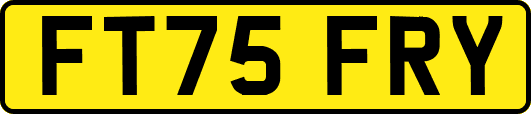 FT75FRY