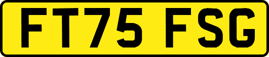 FT75FSG