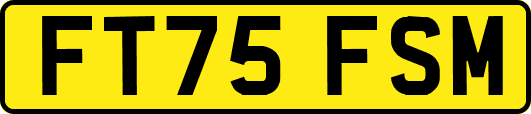 FT75FSM