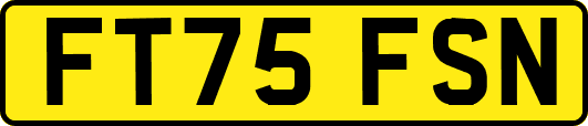 FT75FSN