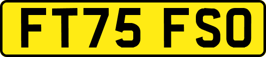 FT75FSO