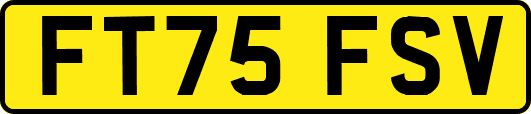 FT75FSV