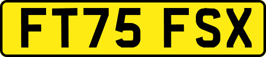 FT75FSX