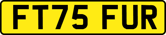 FT75FUR