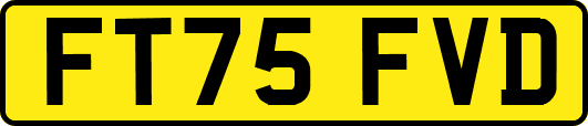 FT75FVD