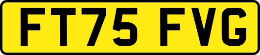 FT75FVG
