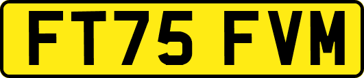 FT75FVM