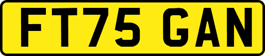 FT75GAN