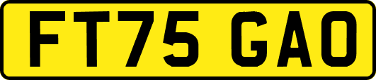 FT75GAO