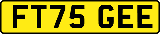 FT75GEE