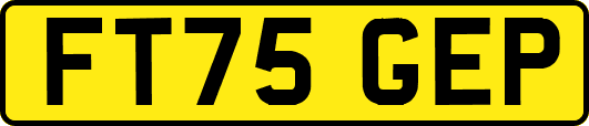 FT75GEP