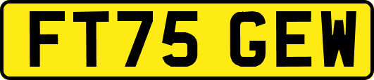 FT75GEW
