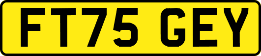 FT75GEY