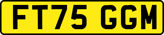 FT75GGM