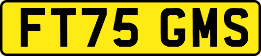 FT75GMS