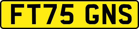 FT75GNS